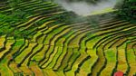 Banaue's Rice Terraces, UNESCO-listed World Heritage site