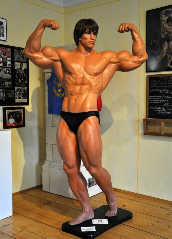 Wax Statue of Body Builder at Arnold Schwarzenegger Geburtshaus Museum