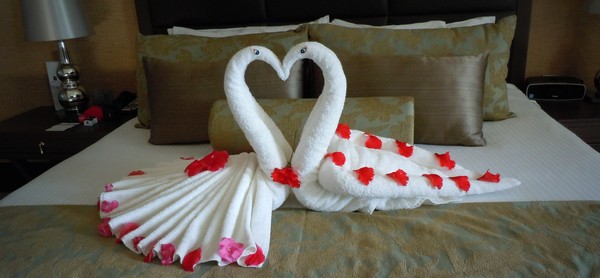 Cruises Towel Animals Creations