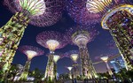 Gardens by the Bay (Singapore) are made up of three spaces---Bay Central, Bay South, and Bay East