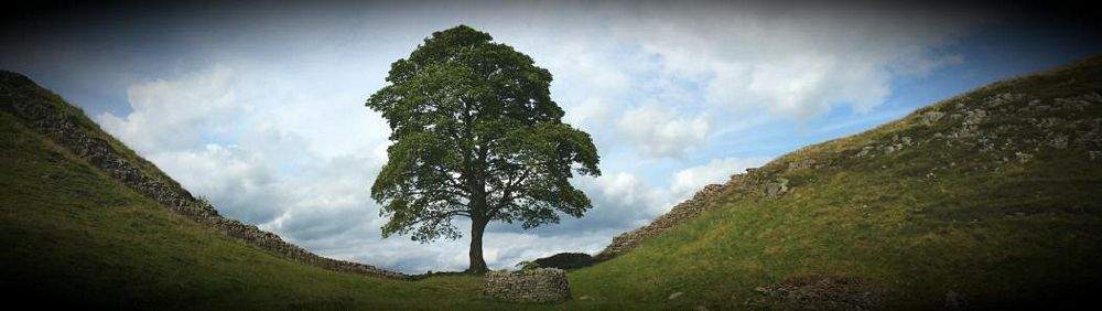 Hadrian's Wall---Roman Fortification