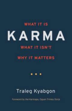 'Karma: What It Is, What It Isn't, Why It Matters' by Traleg Kyabgon (ISBN 1590308883)