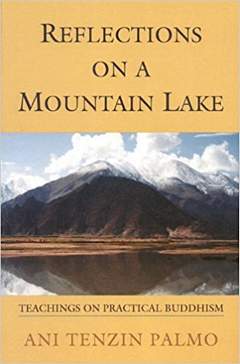 'Reflections On A Mountain Lake' by Tenzin Palmo (ISBN 1559391758)