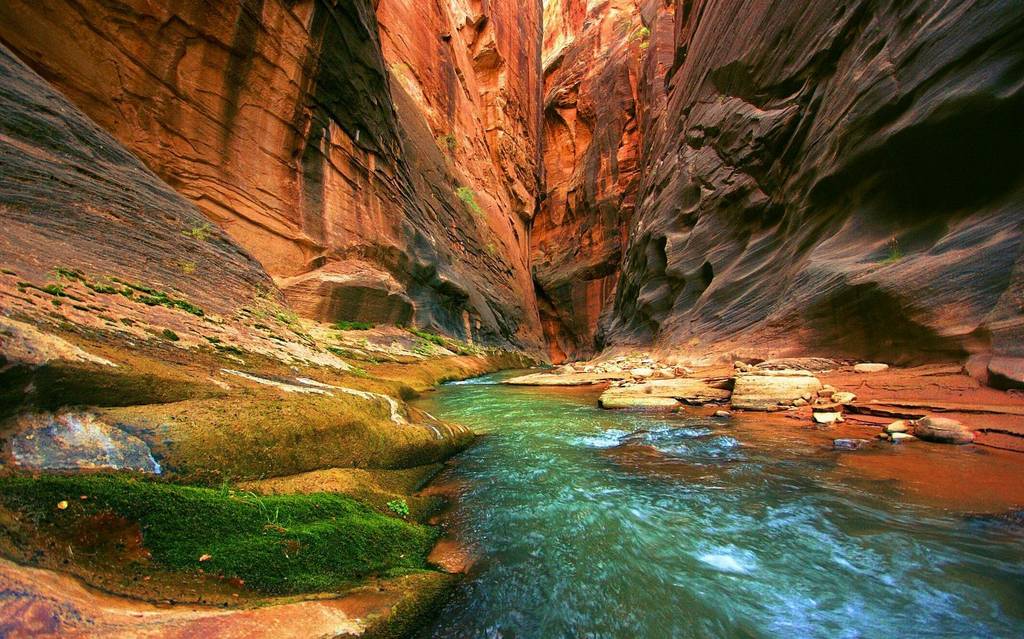 The Narrows (Virgin River) in Zion National Park, Utah