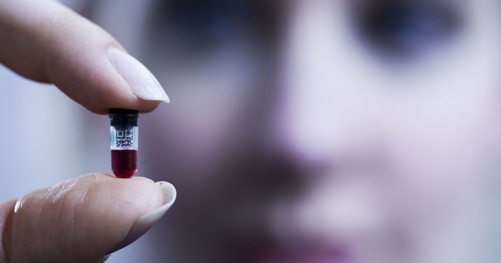 The Rise and Fall of Theranos