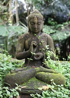 Zen Koan #13: Parable of A Buddha - Buddhist Teaching on True Love and Commitment