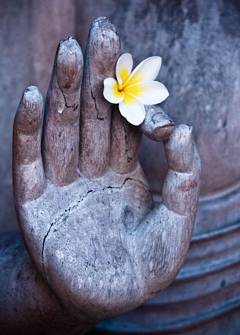 Zen Koan #38: Parable of Gisho's Work - Buddhist Teaching on Healing Presence