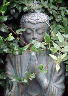 Zen Koan #3: Parable of Is That So? - Buddhist Teaching on Achievement