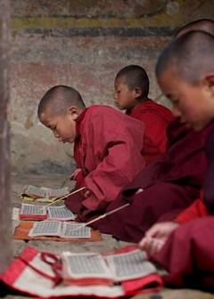Zen Koan #24: Parable of Reciting Sutras - Buddhist Teaching on Beginner's Mind