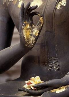 Zen Koan #21: Parable of Sound of One Hand - Buddhist Teaching on Awakening